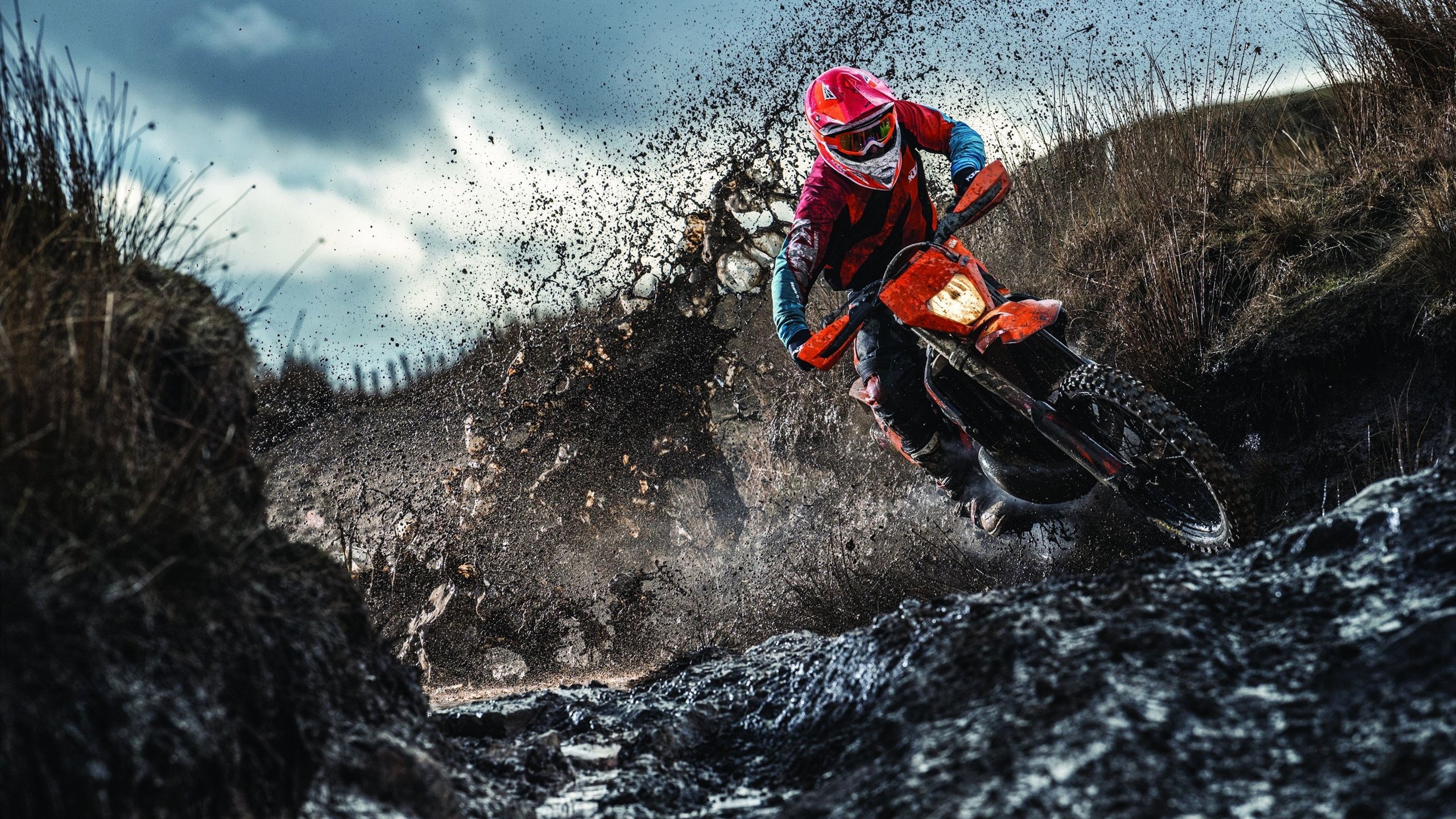 公牛加强对抗防守端动作更加果断，公牛防守悍将