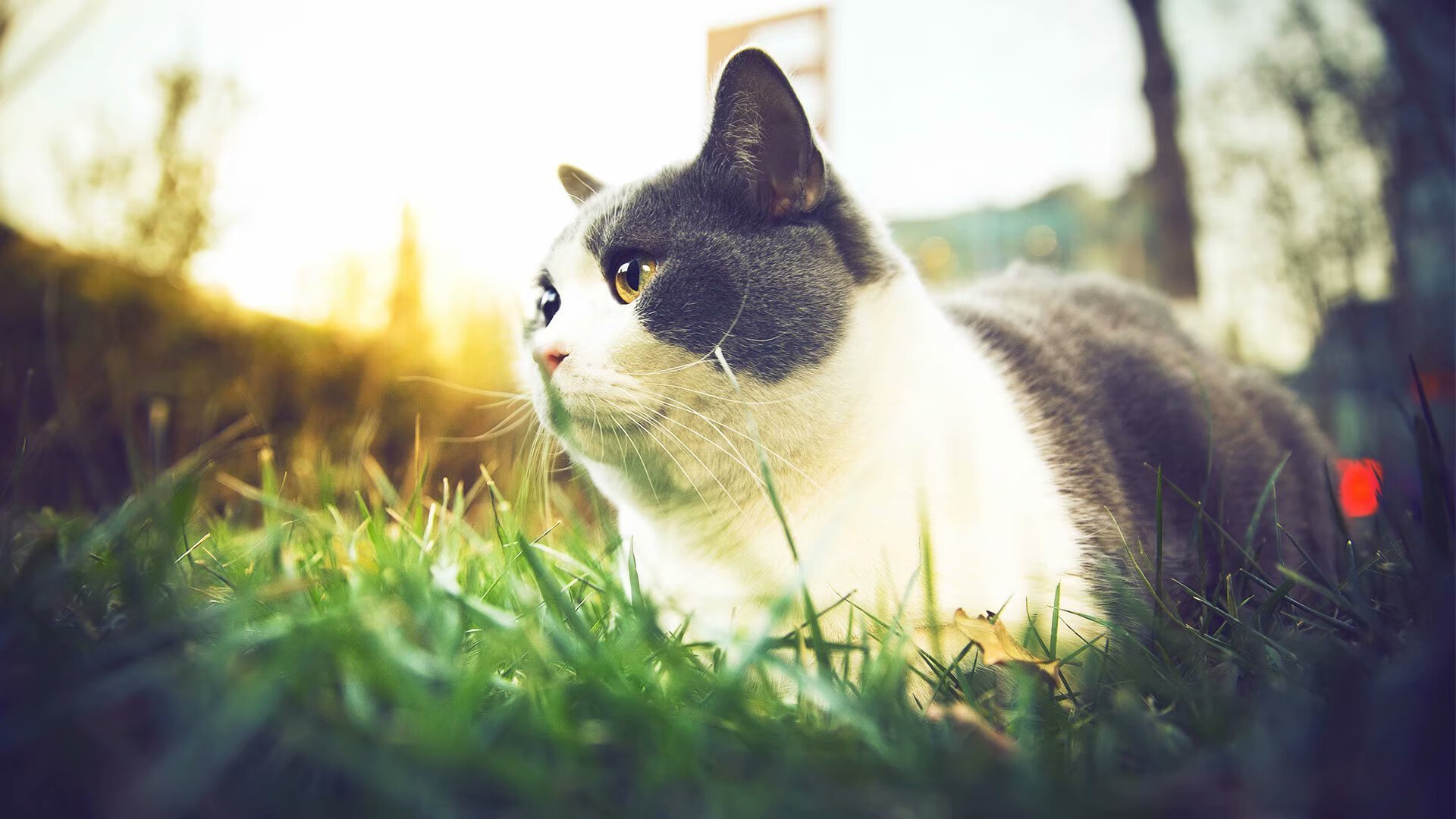 _未来运动：脑波控制系统助力训练_，脑波训练是真是假