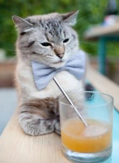 “如何完美执行3-2区域联防?战术详解”,二三区域联防教学视频