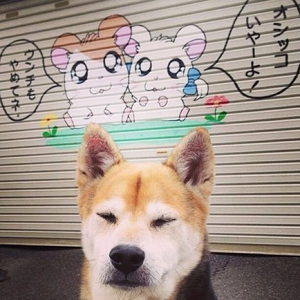 开云·体育官网-一战成名！年轻球员成为欧冠焦点，年轻人欧冠战绩