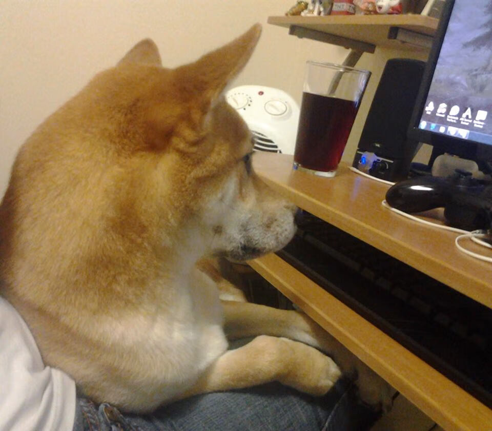 中国足球举办全国青少年足球夏令营,中国足球举办全国青少年足球夏令营比赛